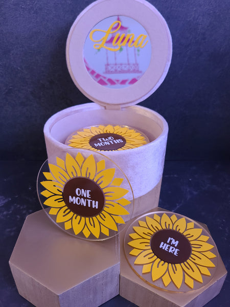 Milestone Disc Set