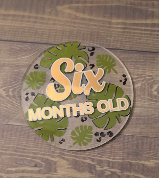 Milestone Disc Set